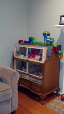 Dresser store hamster cage