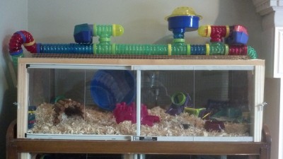 furniture hamster cage