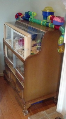 Furniture hamster outlet cage