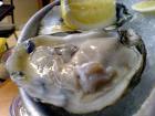 bluepoint oysters