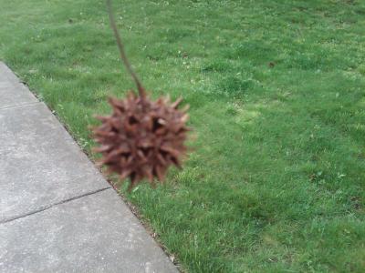 spike ball